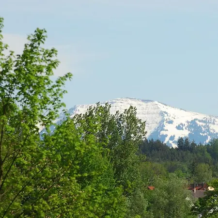 Rack * Wangen im Allgäu